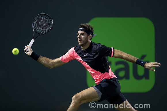 Juan Martin Del Potro (ARG)