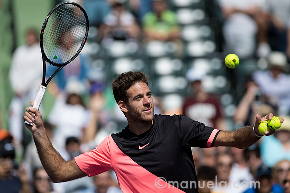 Juan Martin Del Potro (ARG)