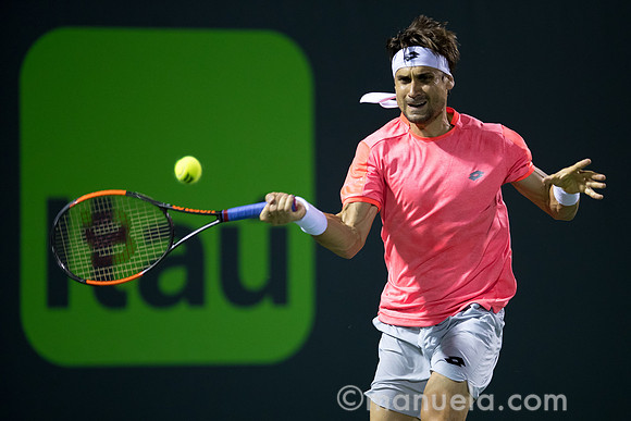 David Ferrer (ESP)