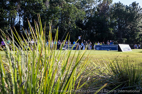 Ambiance 17th Tee
