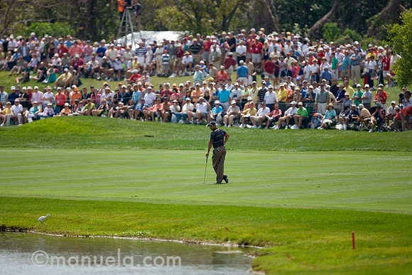 Tiger Woods