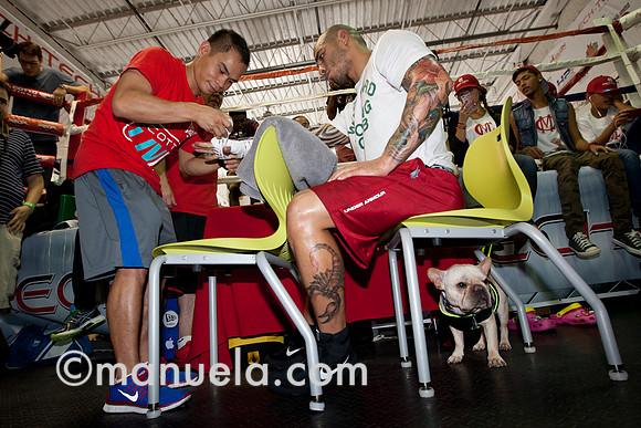 Miguel Cotto with his French bulldog at the Don Miguel Boxing Gym in Orlando