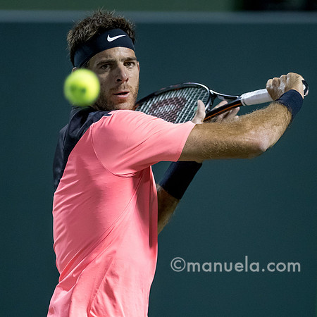 Juan Martin Del Potro (ARG)