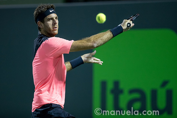 Juan Martin Del Potro (ARG)