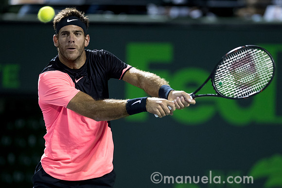 Juan Martin Del Potro (ARG)