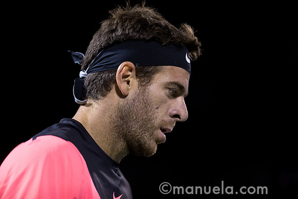 Juan Martin Del Potro (ARG)