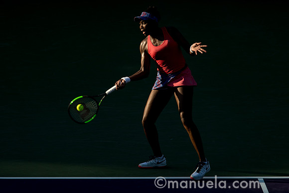 Venus Williams (USA)