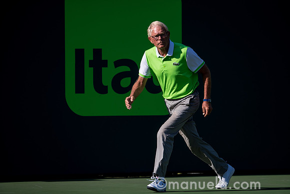 Line Umpire