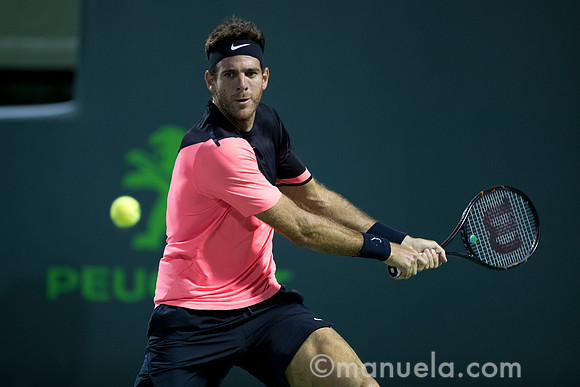 Juan Martin Del Potro (ARG)