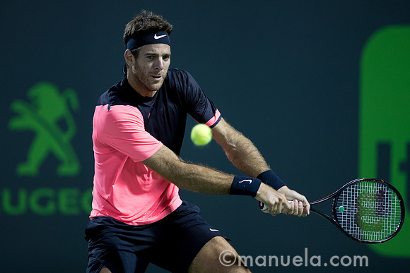 Juan Martin Del Potro (ARG)