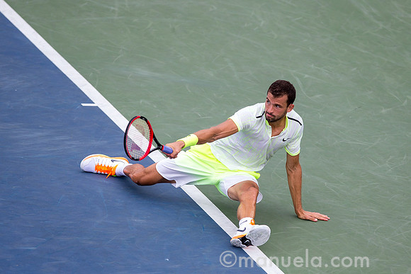 Grigor Dimitrov (BUL)