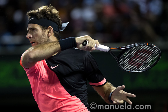 Juan Martin Del Potro (ARG)