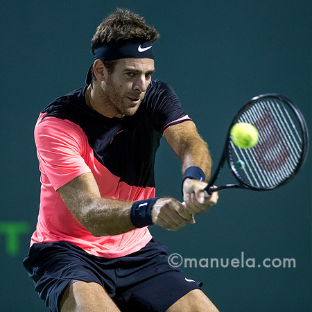 Juan Martin Del Potro (ARG)