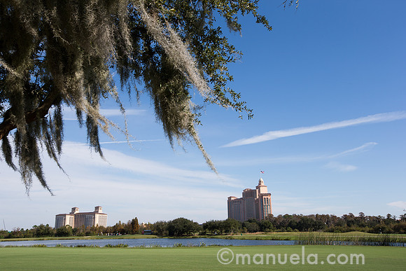 Ambiance 11th Fairway - background Ritz-Carlton and JW Marriott