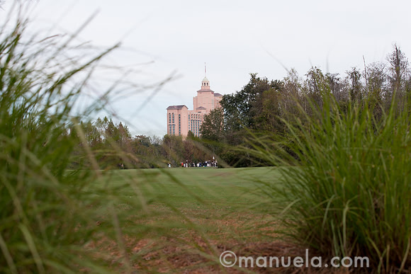 Ambiance - 7th Fairway
