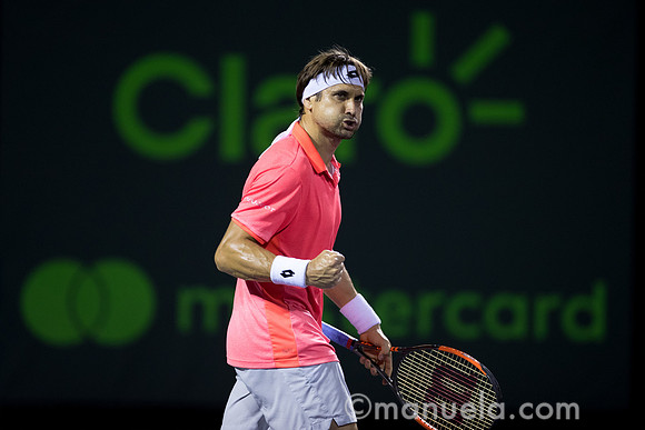 David Ferrer (ESP)