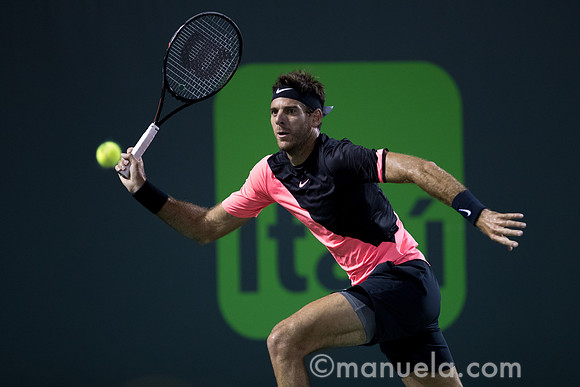 Juan Martin Del Potro (ARG)