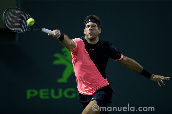 Juan Martin Del Potro (ARG)