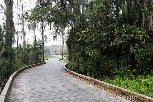 Ambiance - pathway between 8th green and 9th tee
